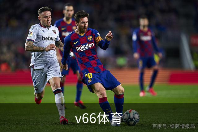 v66体育